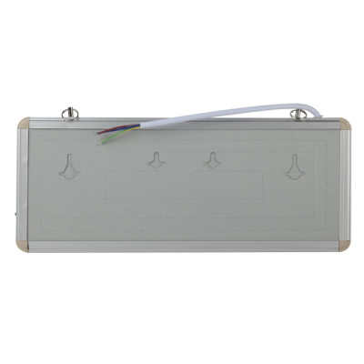 Аварийный светильник  SSA-101-1-20