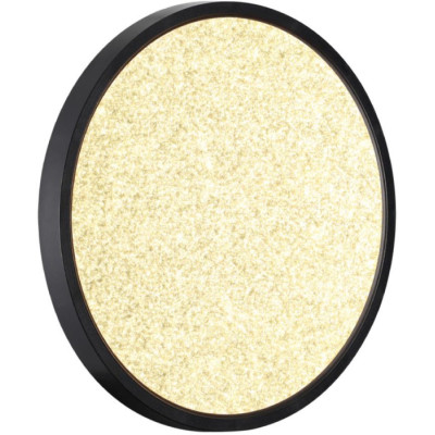 Настенно-потолочный светильник Omega Black 7662/24L