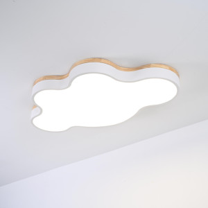Потолочный светильник  Cloud-Eco01