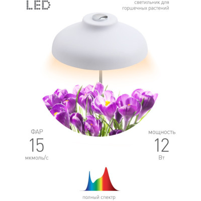 Светильник для растений  FITO-12W-FLED