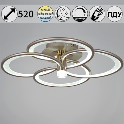 Потолочный светильник  09246-0.3-4S Champaign silver