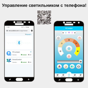 Потолочный светильник  11031-0.3-01